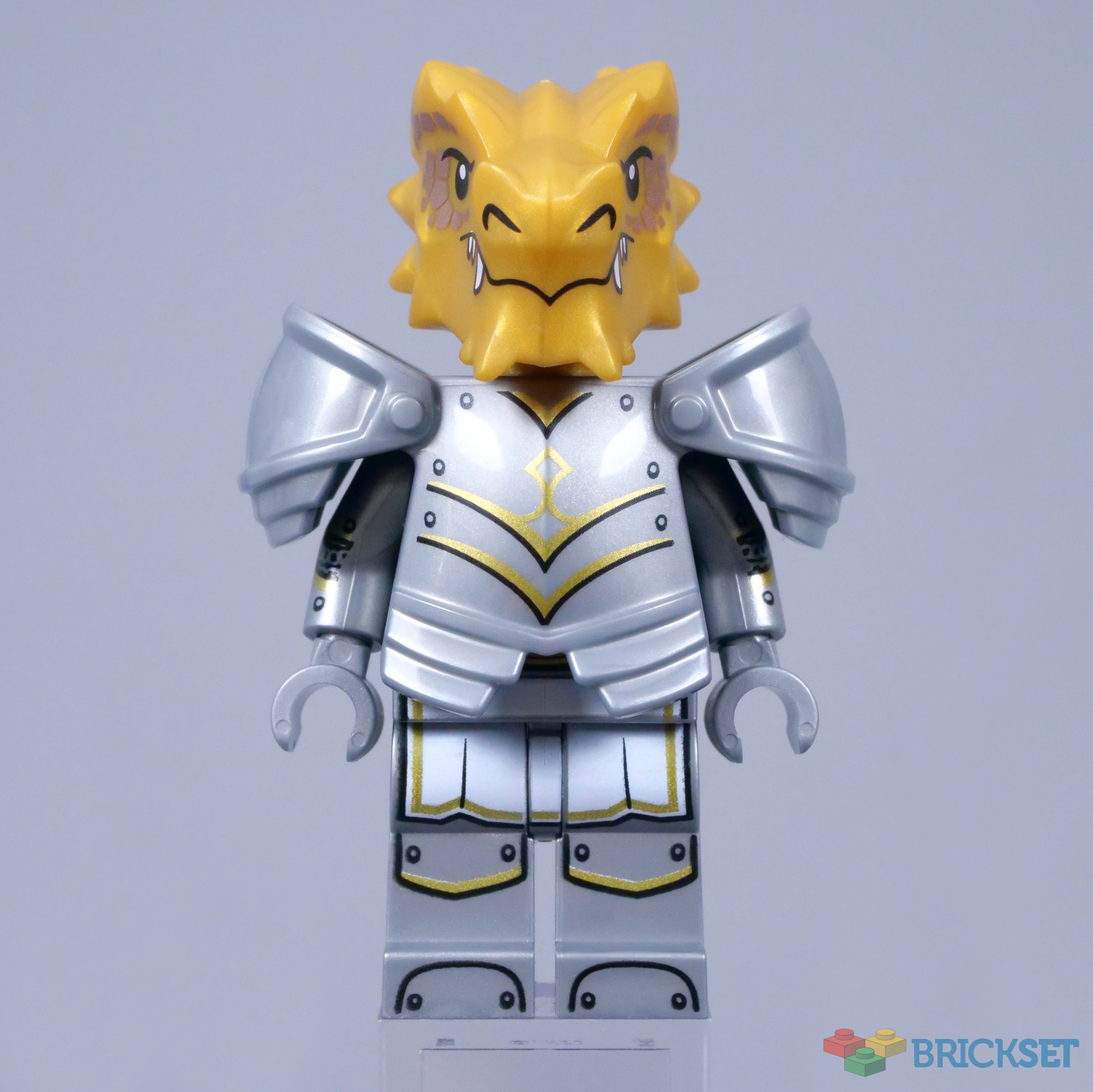 lego dungeons and dragons minifigures